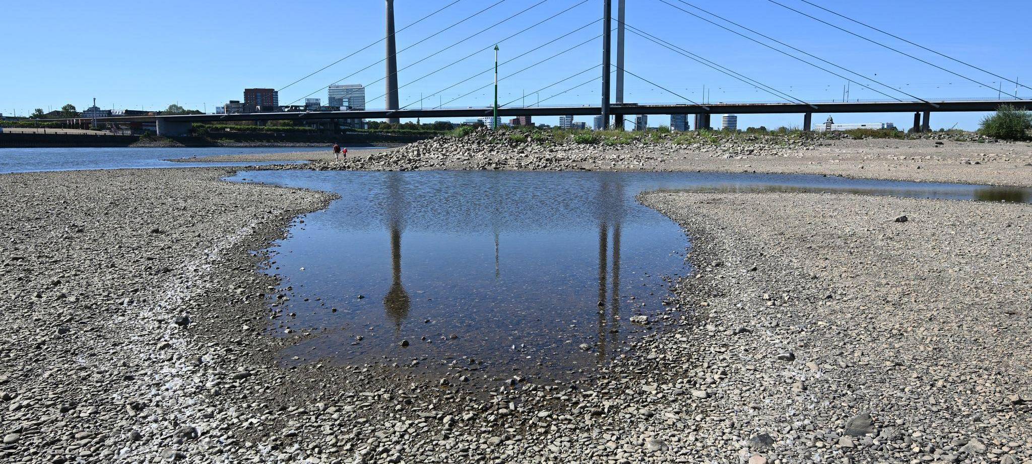 Niedrigwasser im Rhein