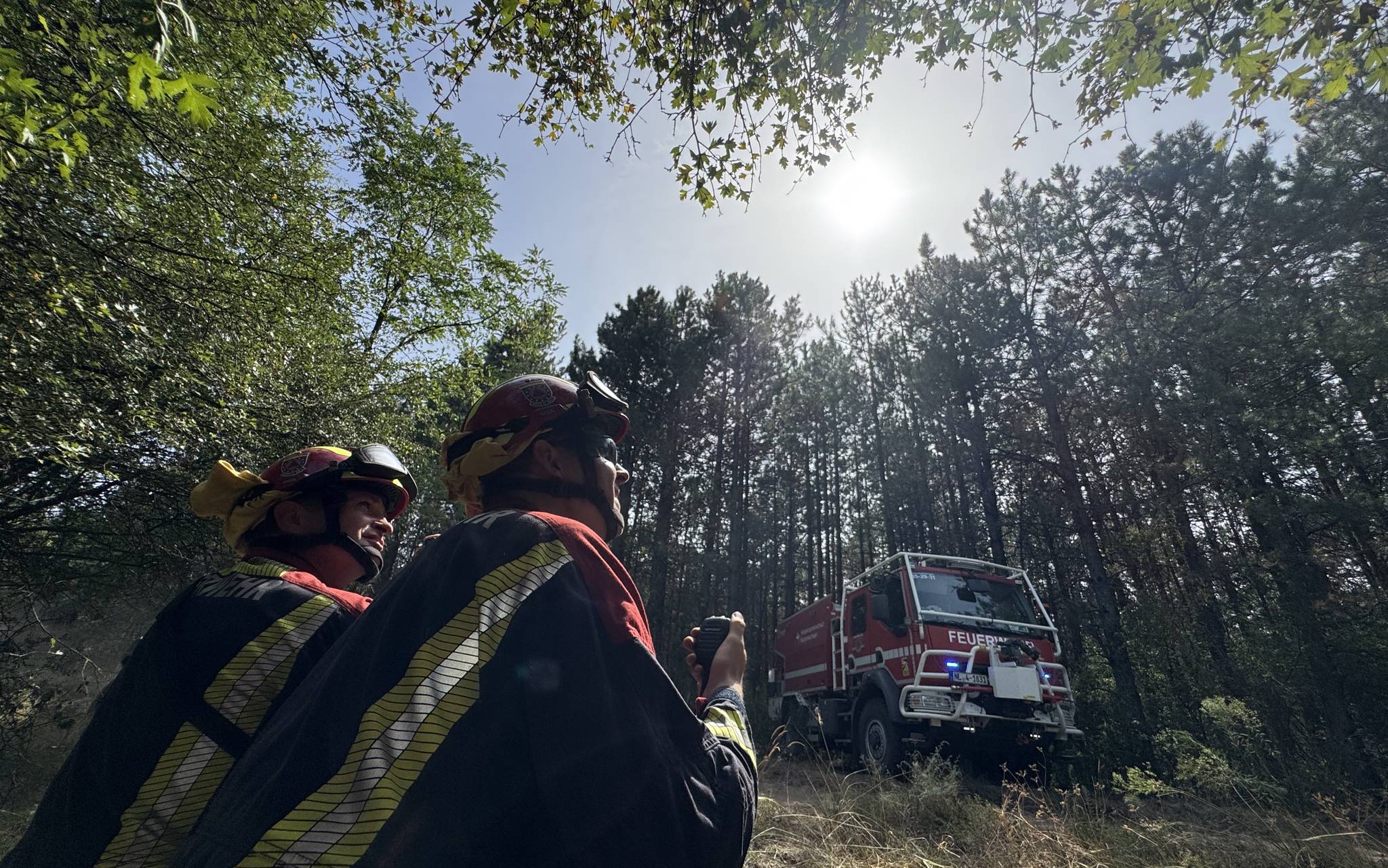 Feuerwehr Bonn: Fortschritte bei Waldbränden in Serbien