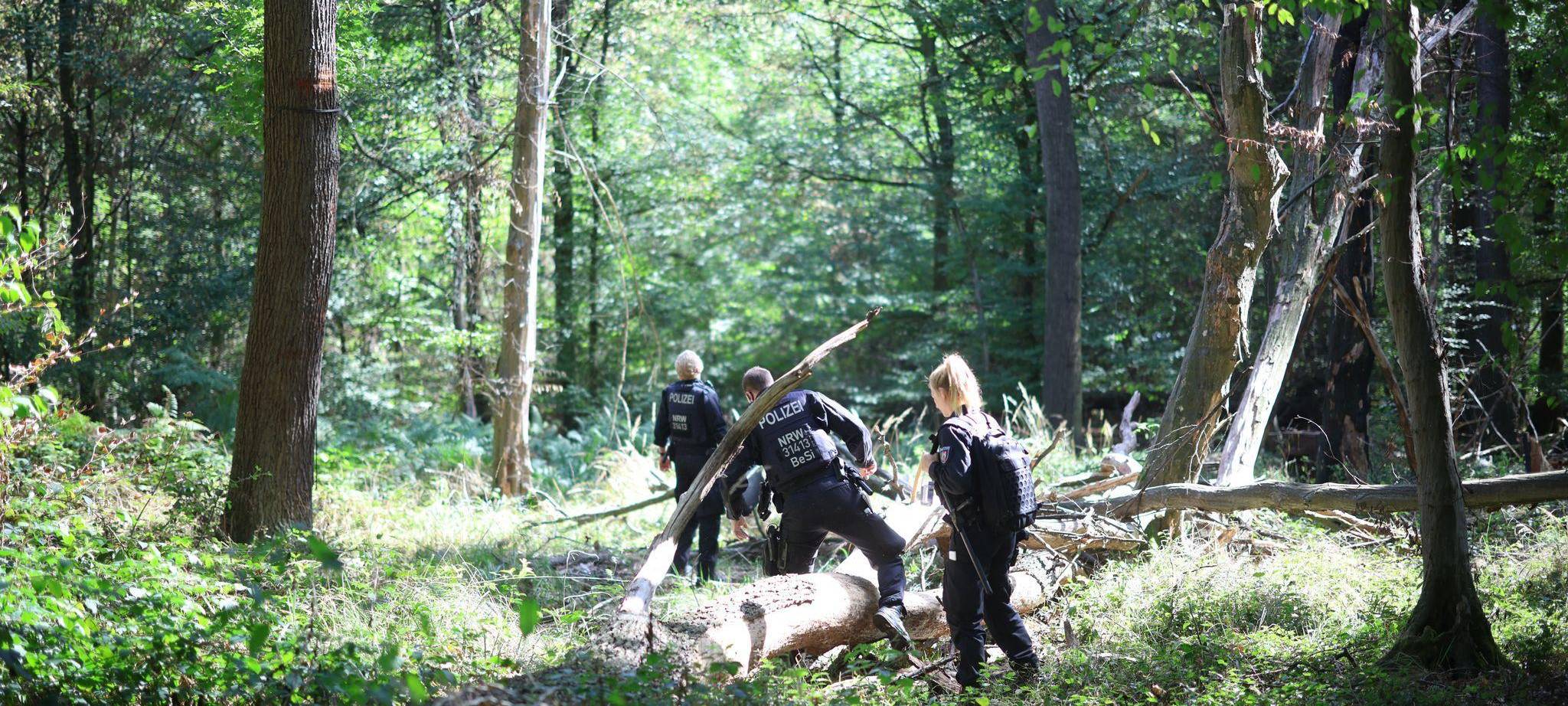 Strom-Sabotage: Suche nach Verdächtigem am Hambacher Forst