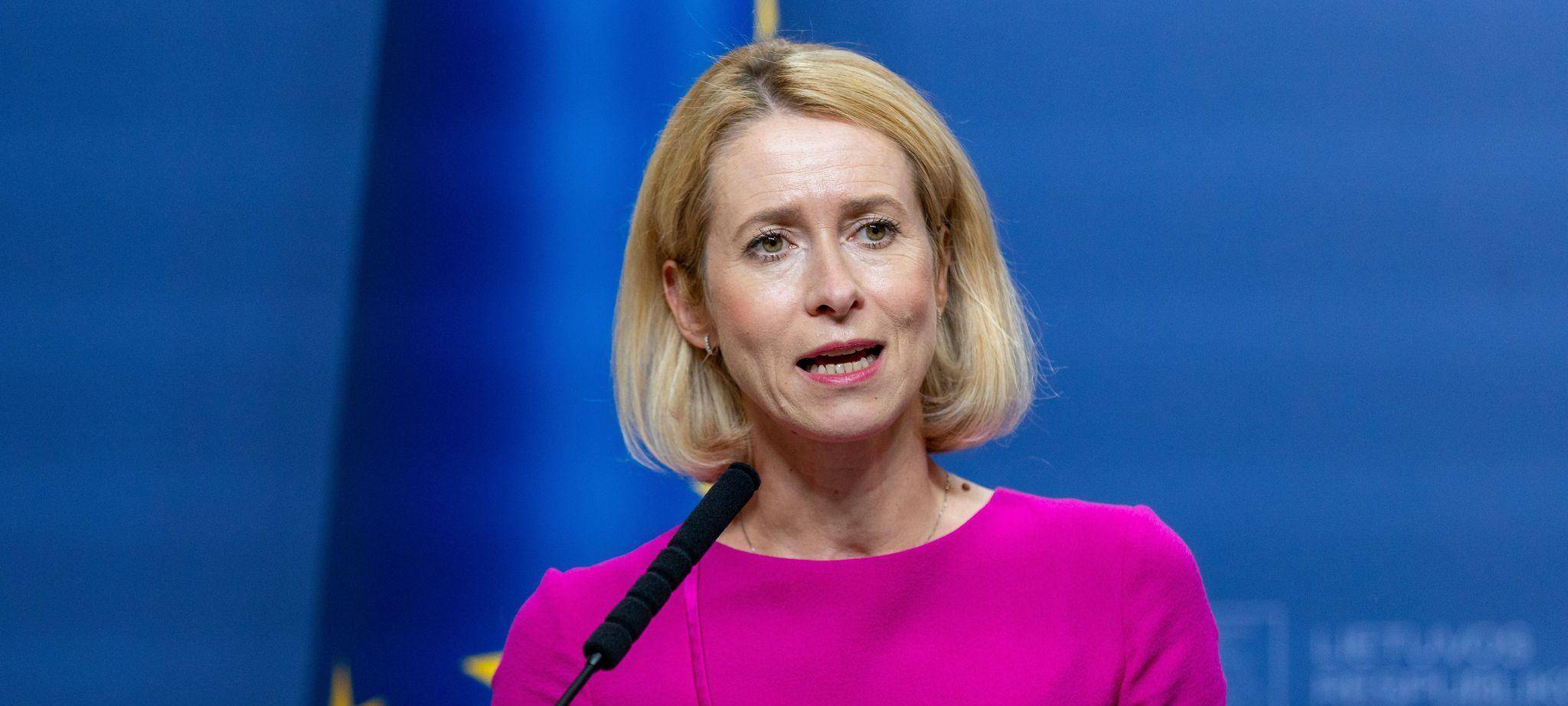 Kaja Kallas in Litauen