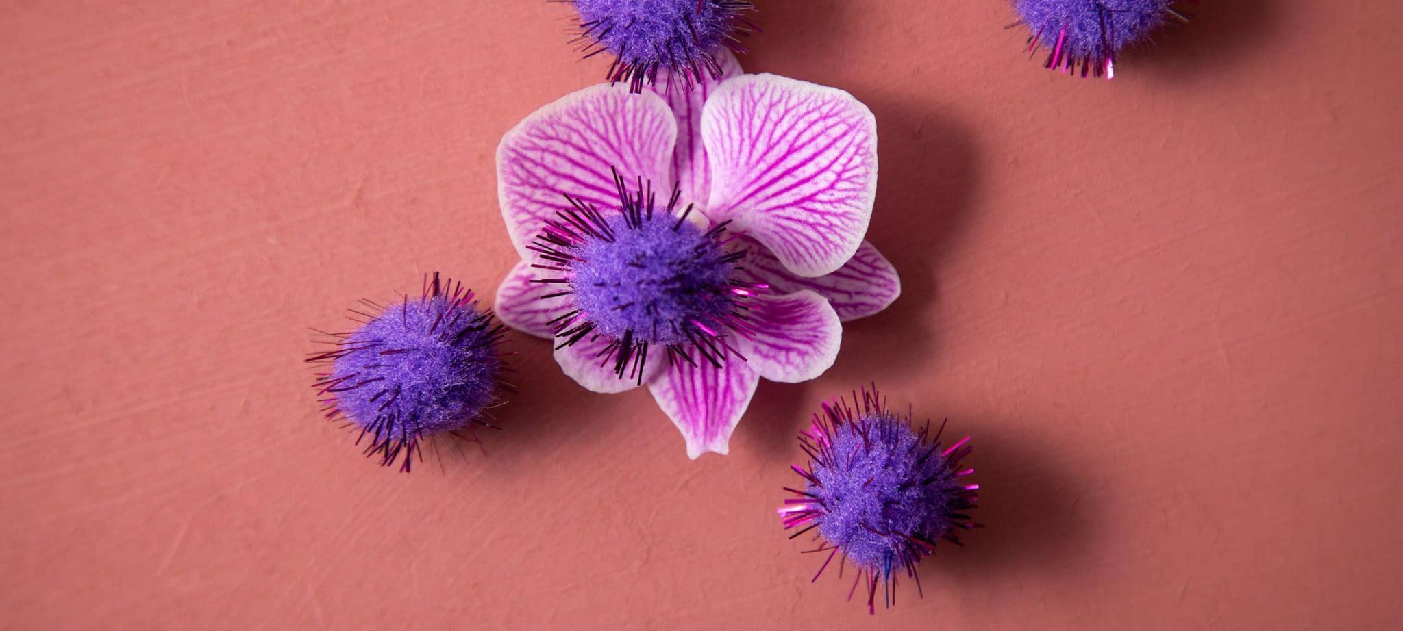 Auf einer Orchidee-Blüte liegen Kugeln in Form von Viren