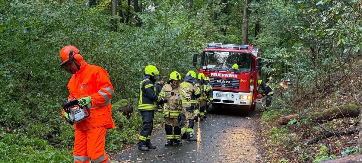 Nur wenige Sturmschäden im RBRS-Land