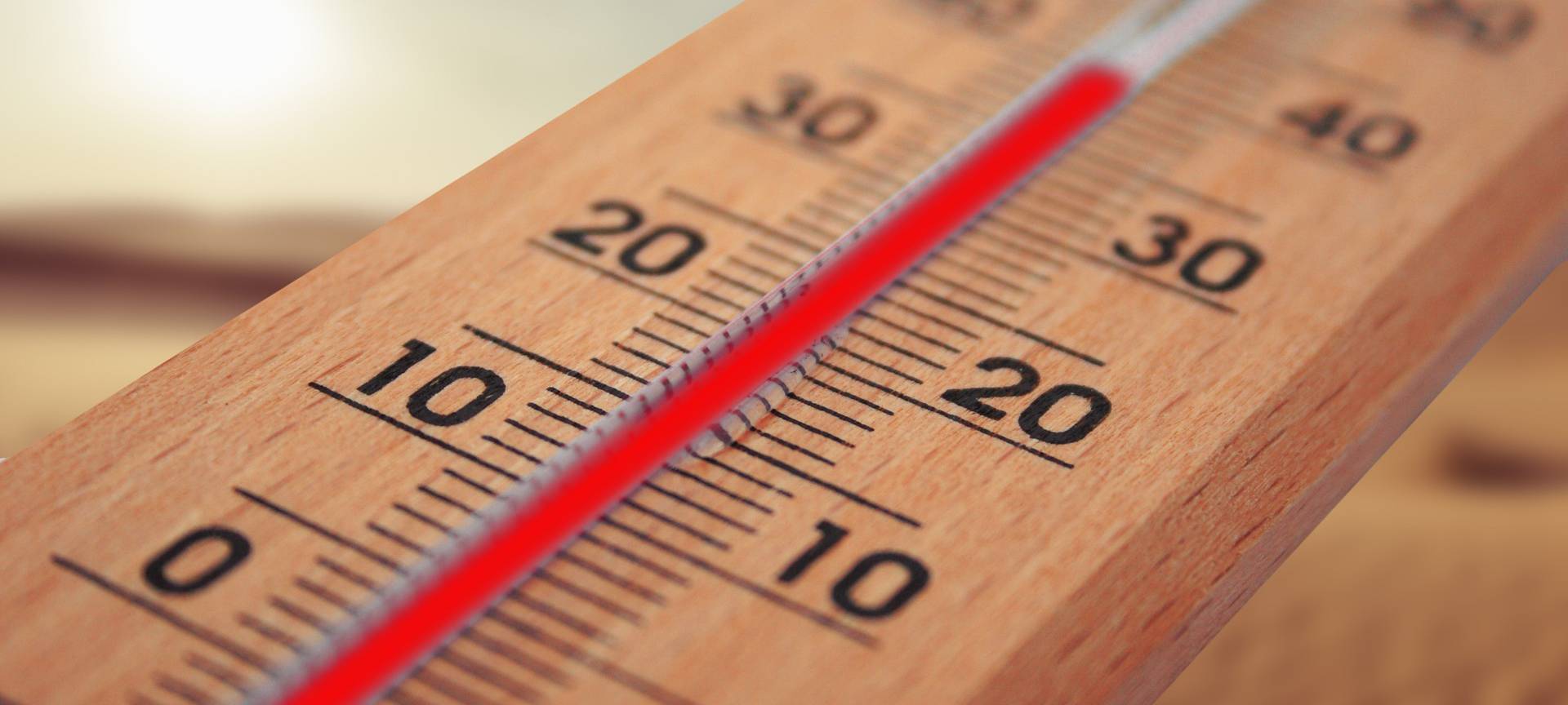 Bonn: 2021 war leicht zu warm und leicht zu nass