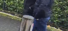 Polizei sucht Einbrecher